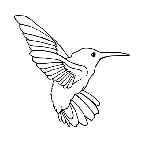 How To Draw Hummingbirds Bird Outline Bird Drawings Hummingbird Drawing