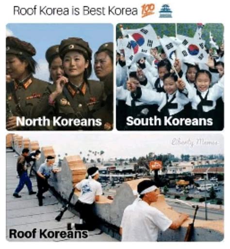 Roof Korea True Korea Rlibertarianmeme