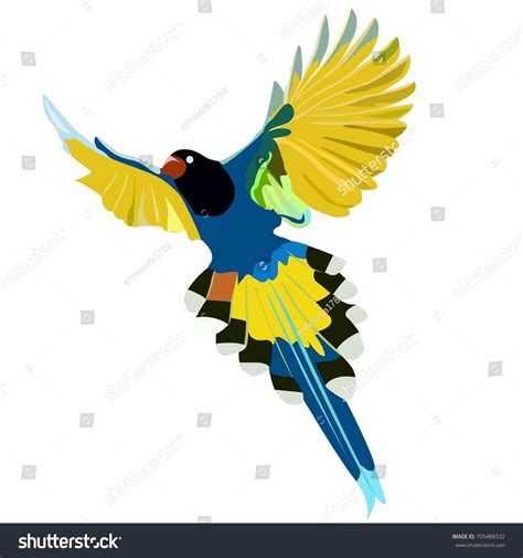 Flying Parrot Vector Stock Vector Royalty Free 705488332 Shutterstock