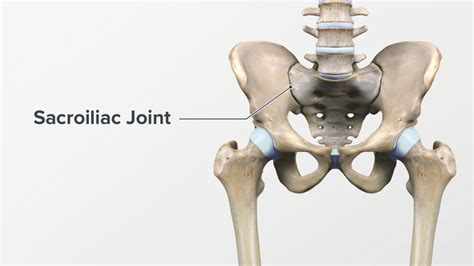 Sacroiliac Joint Anatomy Spine Health