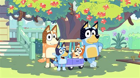 A place for everything abc, the american tv network. Bluey : ABC iview