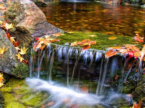 Beautiful Butchart Gardens Waterfall Nature Scenery