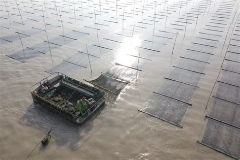 China Fish Farmers Harvest Troubled Waters With Floating Villages