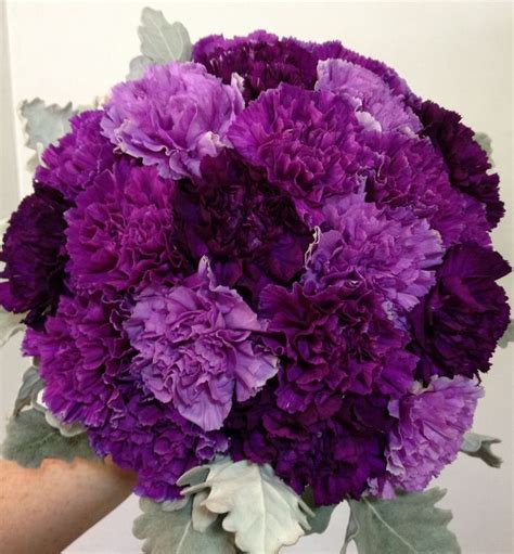 Images For Light Purple Carnation Bouquet Purple Wedding Bouquets Purple Carnation Bouquet