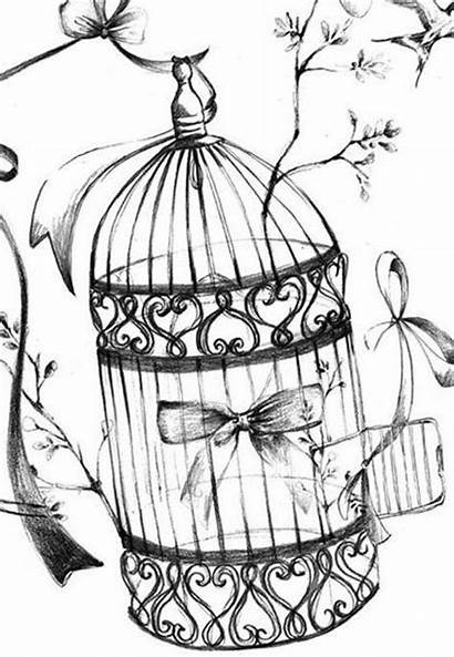 Et Cage Dessin Oiseau Tatouage Oiseaux Birds