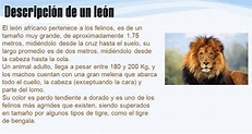 La descripción de un león - La descripción
