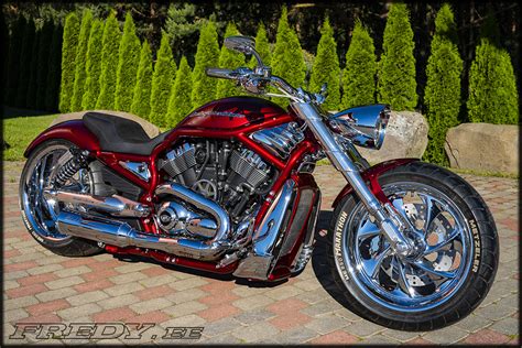 03 Harley Davidson Vrsca Supercharged Fredyee