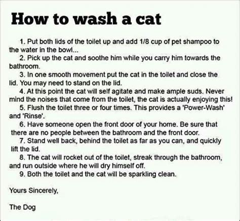 How To Bathe The Cat With Images Laughing So Hard Just For Laughs