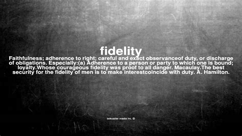 What Does Fidelity Mean Youtube