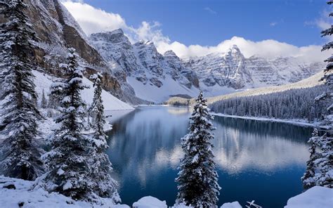 Bing Free Winter Wallpaper In The World Check It Out Now Buywedding1