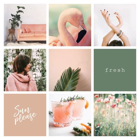 Pink And Green Moodboard Designed By Amari Creative Green Branding