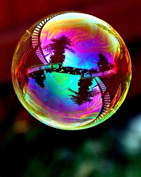 Reflection On A Bubble By Don Mann Reflection Art Bubbles Photography Reflection Photography