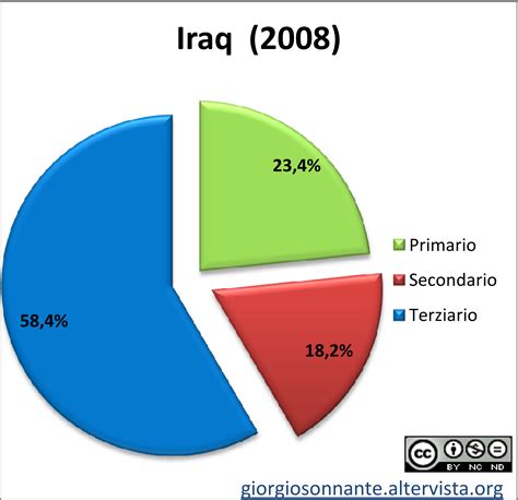 Didattica And Logica Grafico Dei Settori Produttivi Iraq 2008