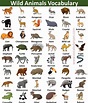 an animal chart with different types of animals and their names in ...