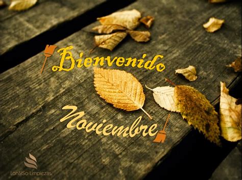 Imágenes De Bienvenido Noviembre Bonitas Con Frases