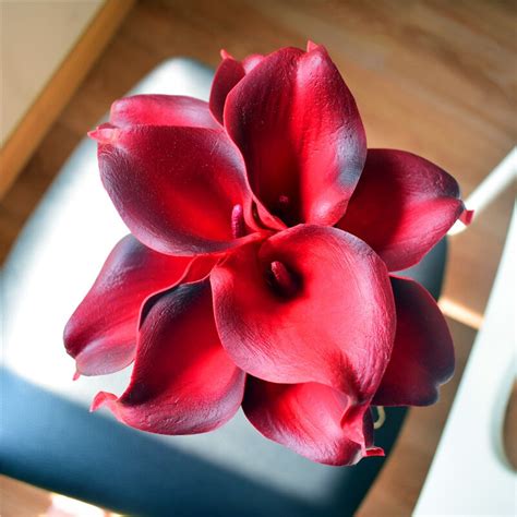 Real Touch Red Picasso Calla Lily Nature Touch Picasso Calla Scarlet