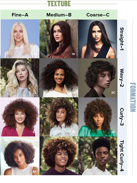 Aggregate 139 Hair Type Chart Latest Vn