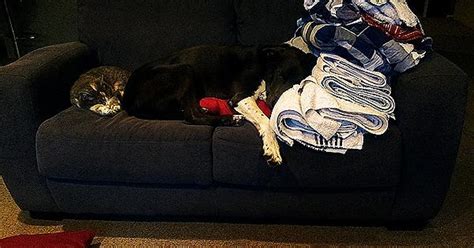 Buddies Passed Out On The Couch Imgur