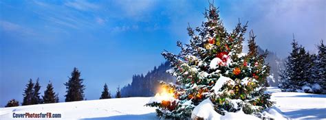 Christmas Trees Decorated Outside Cover Photos For Facebook Id 1142