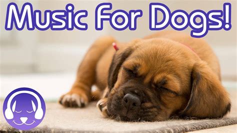 Relaxing Music For Dogs Calm Your Dog With This Soothing Music Youtube