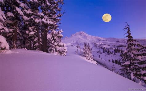 Snowy Winter Scenes Wallpaper Wallpapersafari