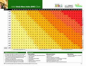  Body Mass Index Bmi Chart Edit Fill Sign Online Handypdf
