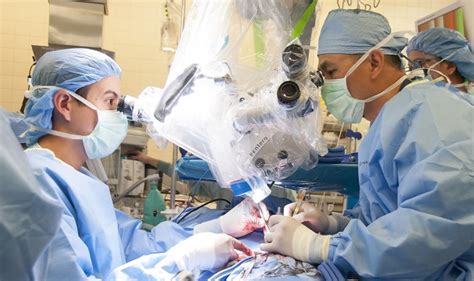 Doctors Perform First Ever Middle Ear Transplant Using 3d Printing