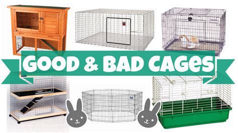 Negative reinforcement, such as yelling no or clapping your hands loudly to stop your rabbit from chewing. Good vs Bad Rabbit Cages - YouTube