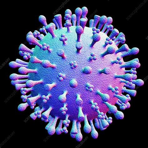 Avian Flu Virus Particle Artwork Stock Image F0027666 Science