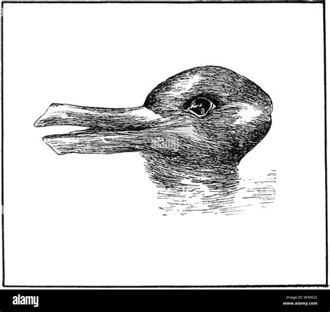 Optical Illusion Duck Rabbit Hi Res Stock Photography And Images Alamy