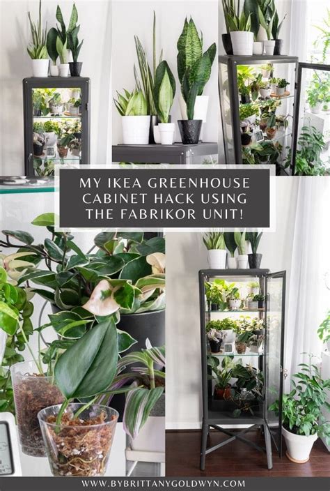 Brittany goldwyn merth's diy hack for transforming an fabrikor ikea cabinet into a greenhouse is easier than you'd think, she says. How to hack an Ikea glass cabinet to make a greenhouse!