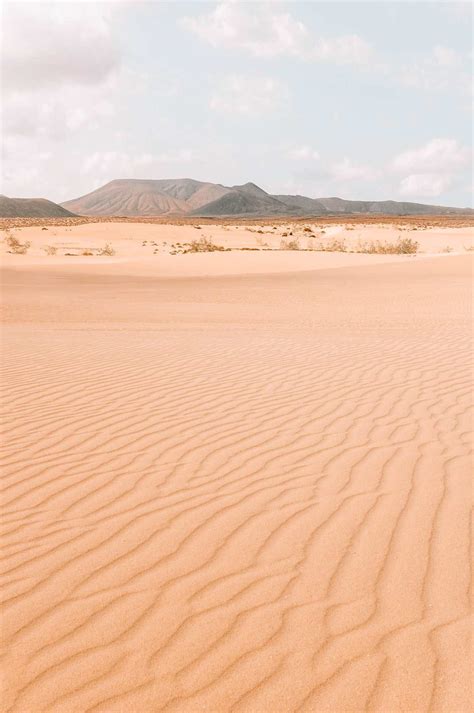 Best Things To Do In Fuerteventura Fuerteventura Canary Islands West Coast Road Trip