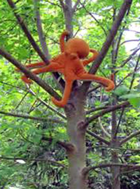 Maybe you would like to learn more about one of these? SCVNews.com | Opinion/Commentary: Save the Tree Octopus ...
