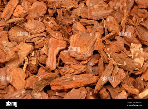 Wood Bark Chippings As A Garden Mulch Covering To Prevent Weeds And