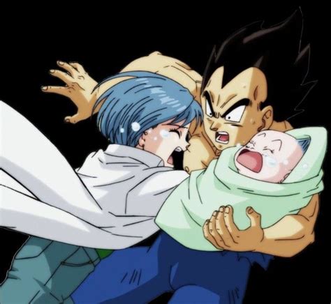 Bulma Vegeta Bra Dragon Ball Gt Dragon Ball Artwork Dragon Ball Super Dbz Vegeta And