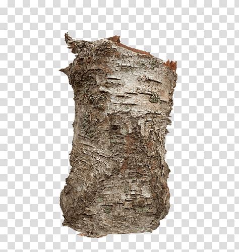 Clip Art Piece Of Tree Bark Png Clipart