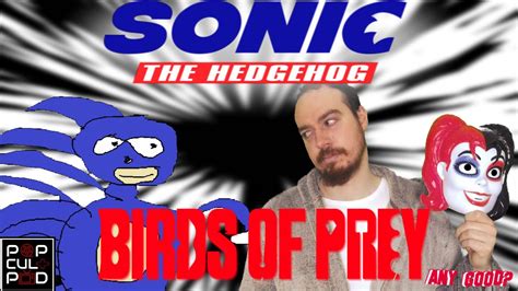 Birds Of Prey And Sonic The Hedgehog Any Good Reviews Youtube