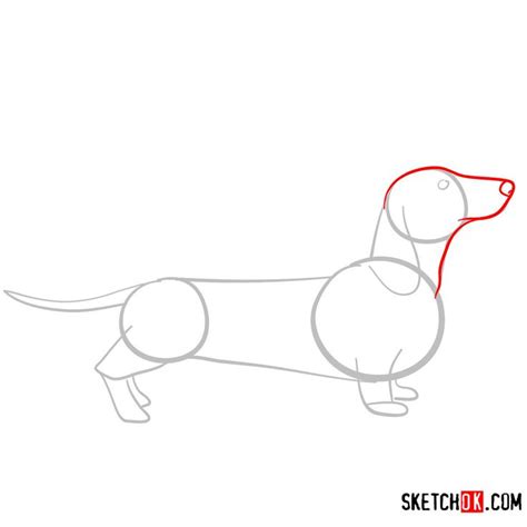 How To Draw The Dachshund Dog Sketchok Easy Drawing Guides In 2022