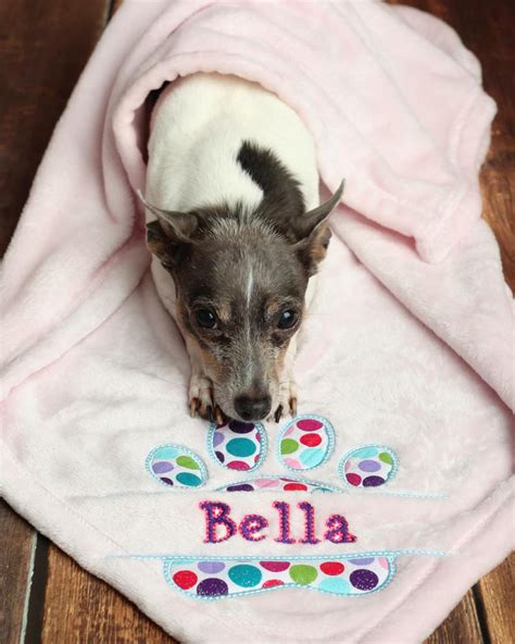 Personalized Pet Blanket Custom Pet Blanket Dog Blanket Etsy