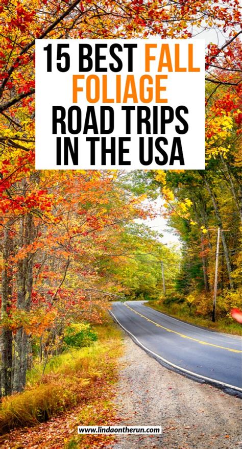 15 Best Fall Foliage Road Trips And Drives In The Usa Fall Road Trip