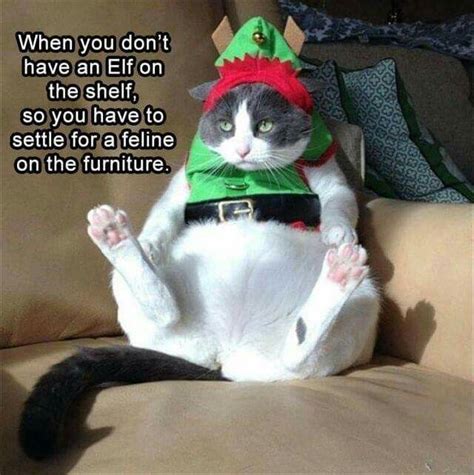 Pin By Leanna Mclean On Christmas Funnies Funny Animal Memes Funny