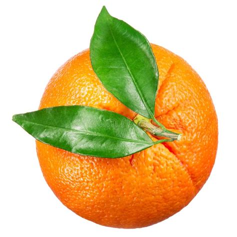 Orange Fruit With Leaves Isolated On White Background Clipping Stock