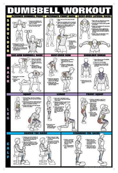 The dumbbell exercises are arranged vertically by difficulty. Addy Gets Fit: Dumbbell Workout