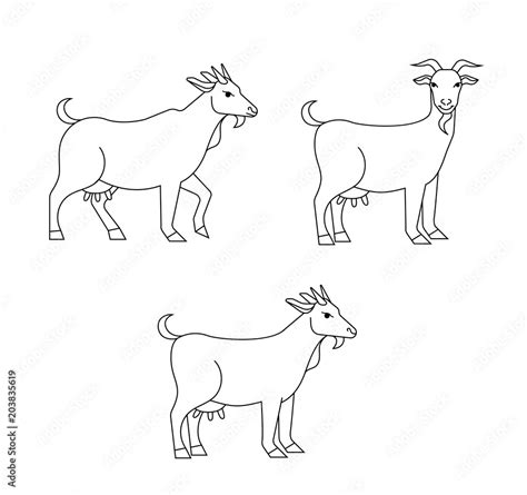 Set Of Cute Goat Vector Flat Illustration Isolated On White Background