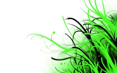 Green And White Abstract Wallpapers Top Free Green And White Abstract