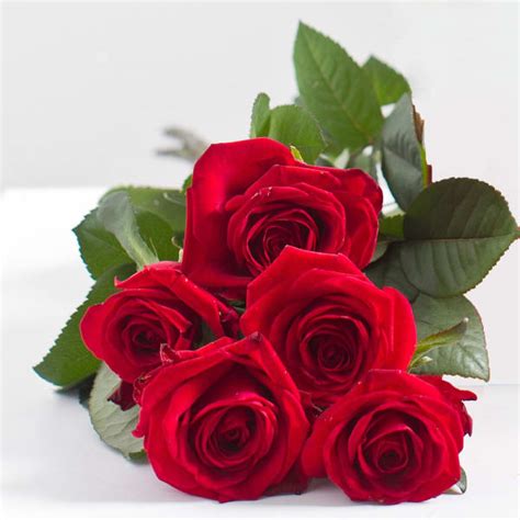 Order Bouquet Of 5 Red Roses Online At Best Price Free Deliveryigp