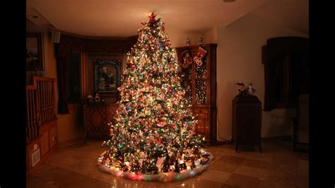 Building The Most Beautiful Christmas Tree Time Lapse Youtube