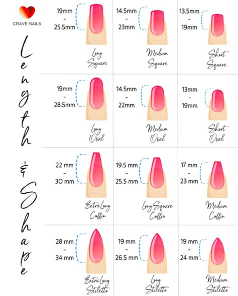 Length Shape Guide Press On Nails Chart Stick On Nails Nail Length
