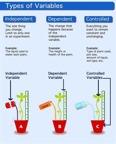 description of independent variable, dependent variable, and control ...