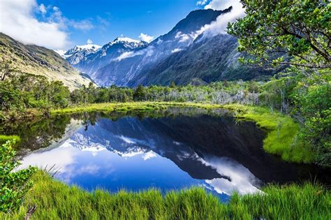 Nature Landscape Summer Lake Reflection Mountain Grass Forest